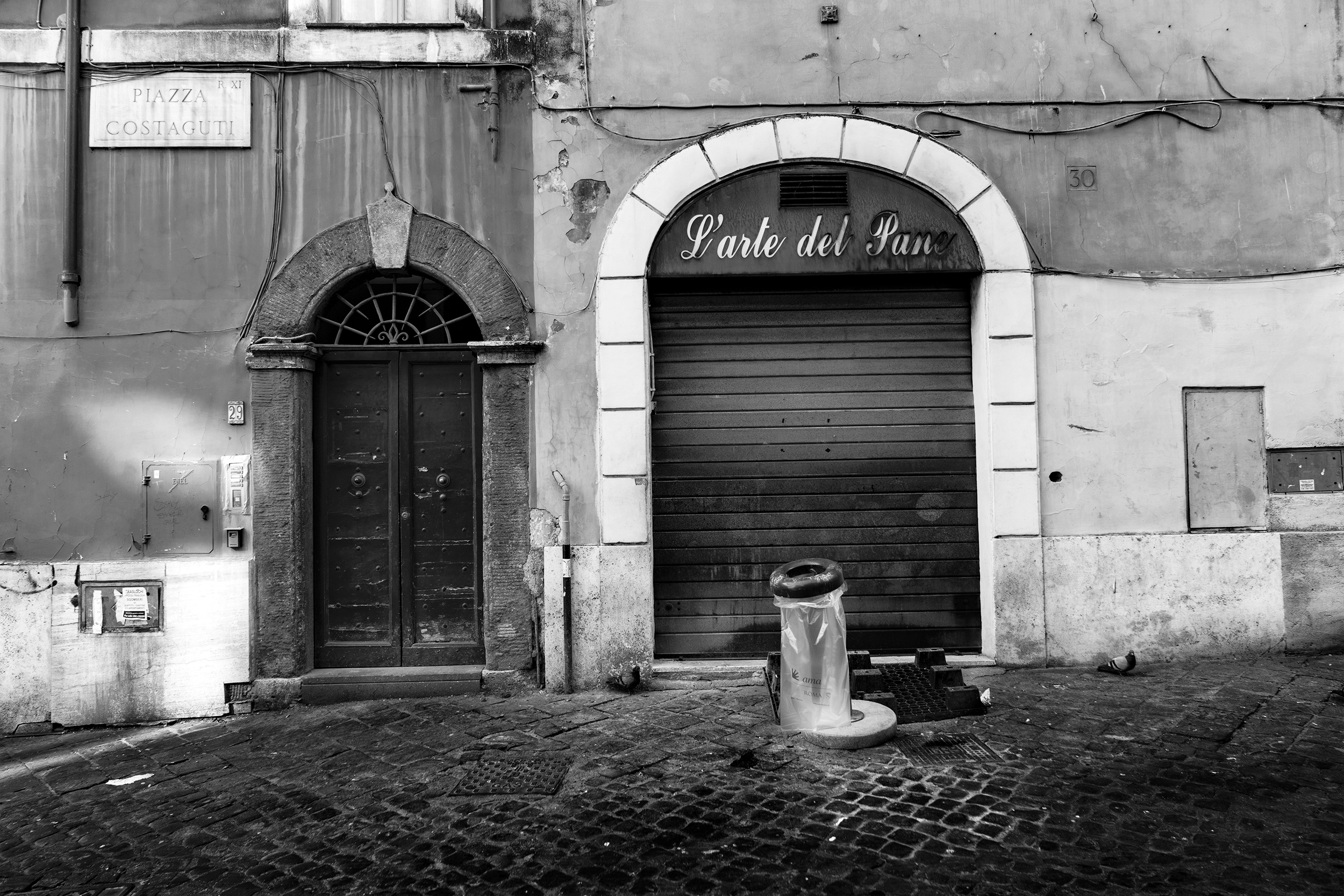 Rome Stops for a While - Flavia Piola